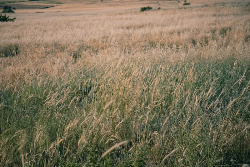 网线选购指南：超五类与六类线在数据中心场景的性能差异分析